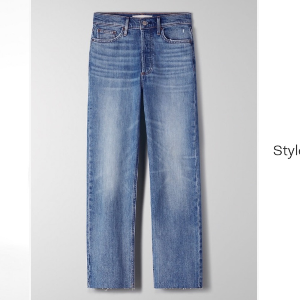 Aritzia Denim Forum Arlo Straight Jean